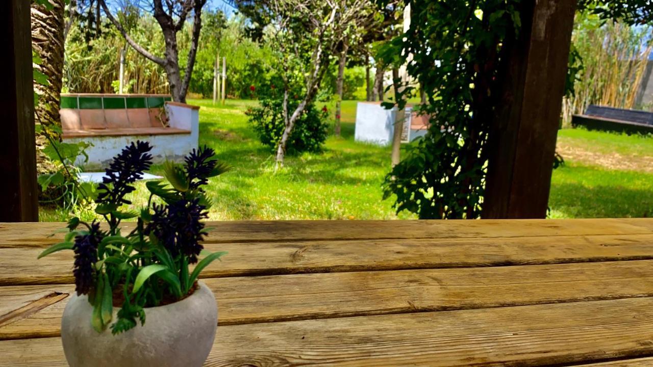Banti Garden Hotell Tarifa Exteriör bild