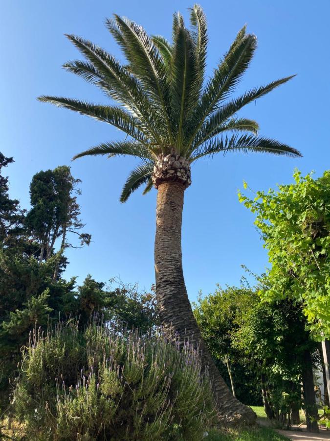 Banti Garden Hotell Tarifa Exteriör bild