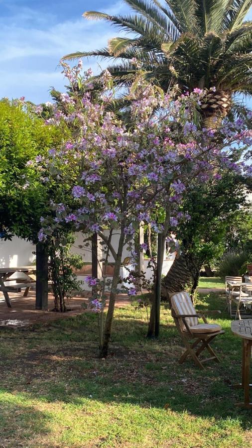 Banti Garden Hotell Tarifa Exteriör bild