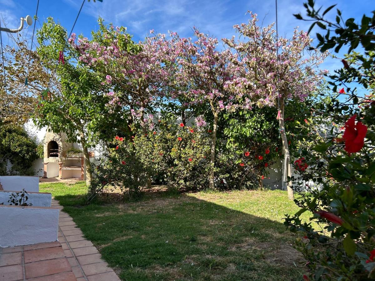 Banti Garden Hotell Tarifa Exteriör bild